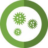 Buzz Mold Inspection