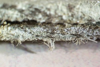 Asbestos Removal in Bergen County, NJ