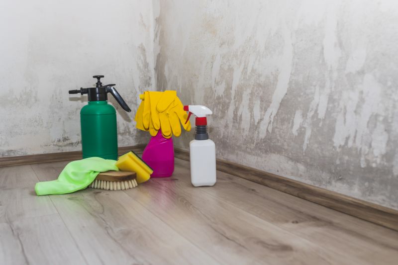 Attic Mold Removal in Bergen County, NJ
