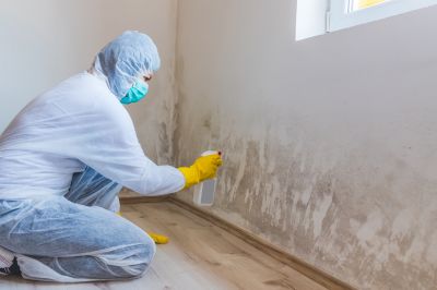 Attic Mold Removal in Fort Worth, TX