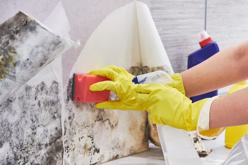 Basement Mold Remediation in Fort Lauderdale, FL