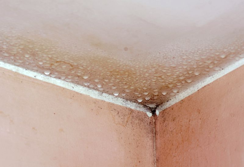 Basement Mold Remediation in Jupiter, FL