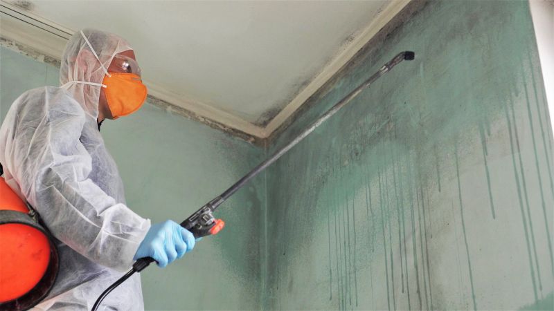 Basement Mold Removal in Fort Lauderdale, FL