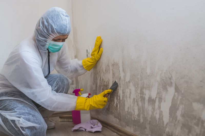 Black Mold Remediation in Frisco, TX