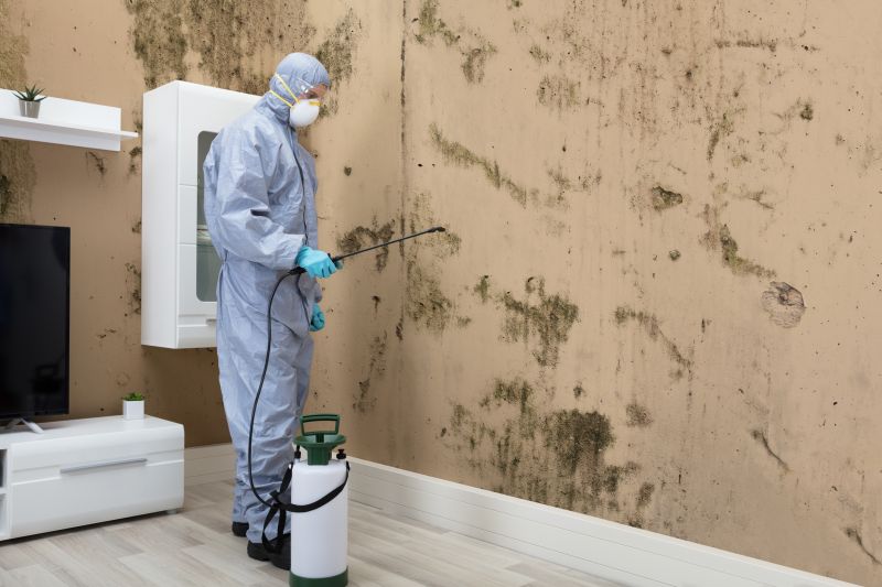 Black Mold Removal in Broward County, FL