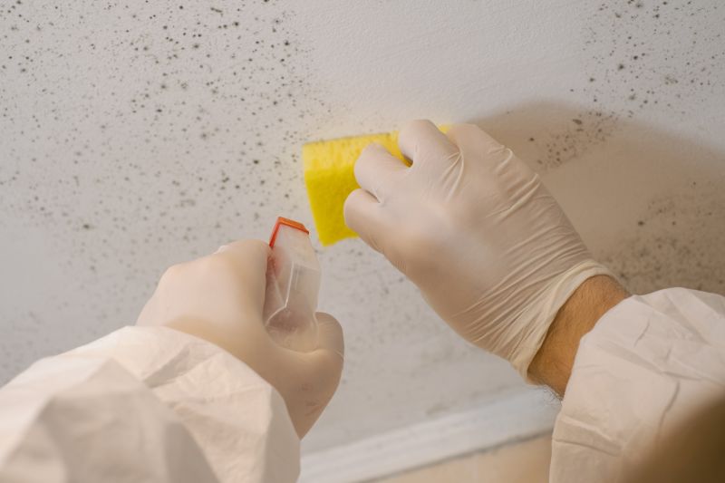 Crawlspace Mold Remediation in Fort Worth, TX