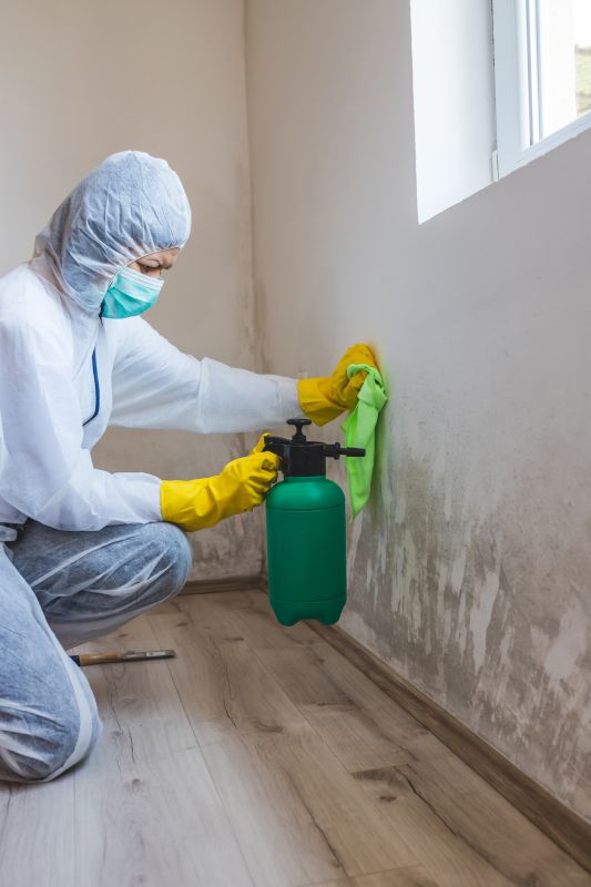 Garage Mold Remediation in Bergen County, NJ