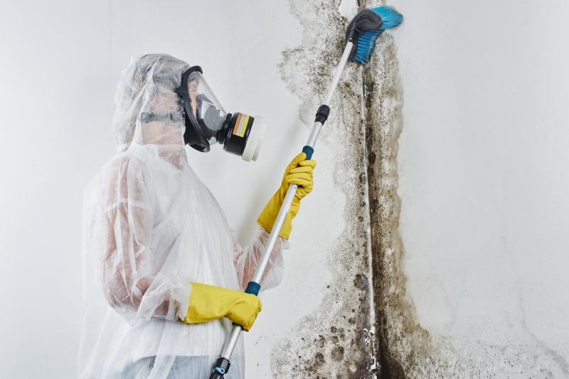 Garage Mold Remediation in Dallas, TX