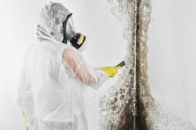 Mold Abatement in West Palm Beach, FL
