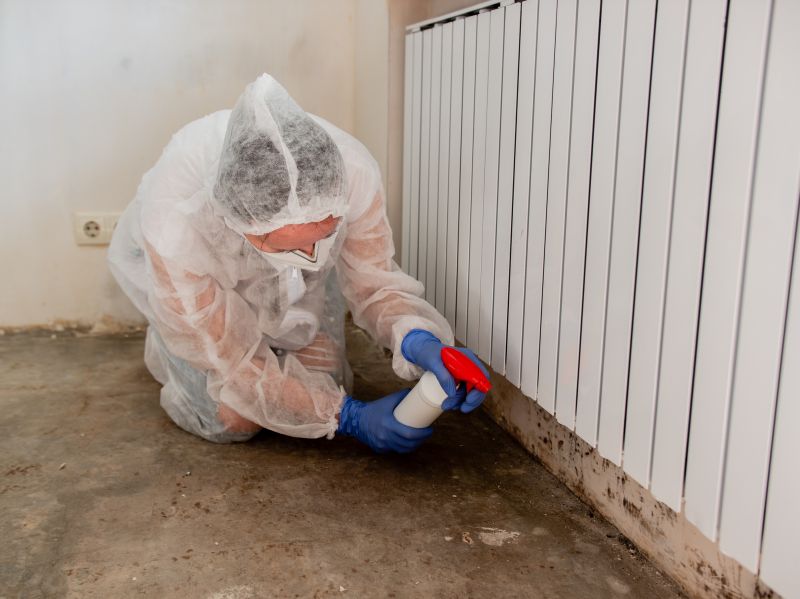 Mold Mitigation Service in Bergen County, NJ