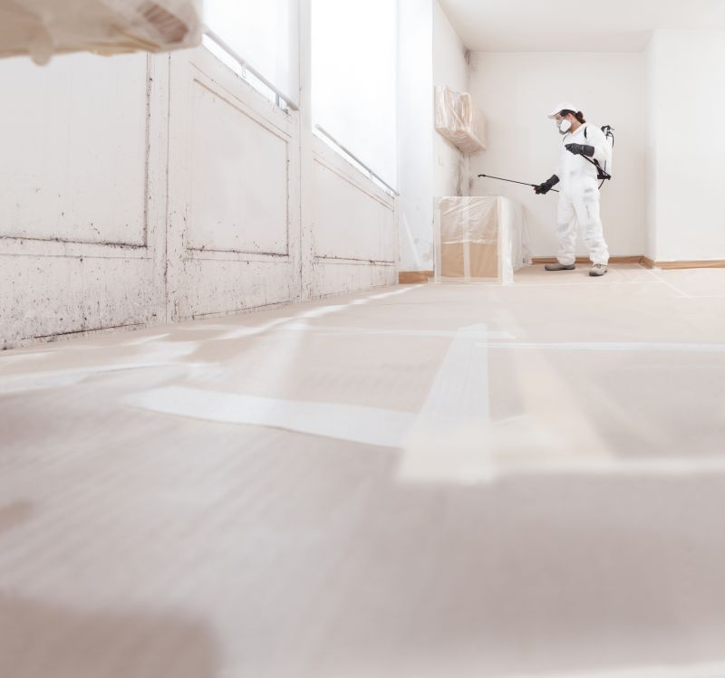 Mold Remediation Service